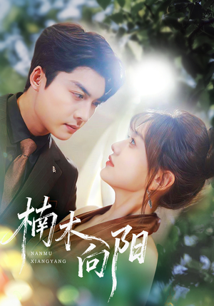 《楠木向阳》（70集）精彩短剧一追到底不停歇