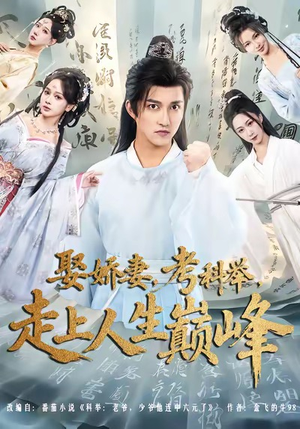 《娶娇妻，考科举，走上人生巅峰》（80集）短剧精彩不容错过