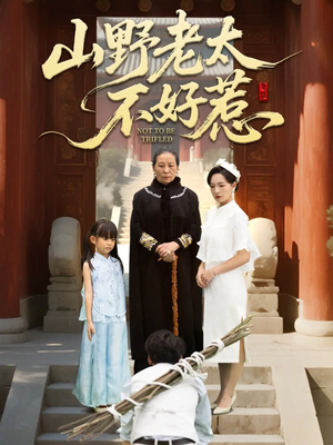 奶奶一脚震全城(64集) 奶奶一脚震全城(64集)在线看免费版