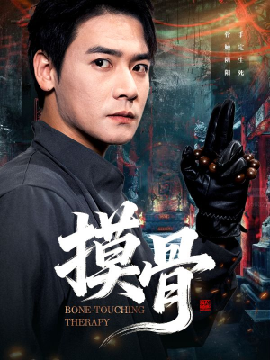 摸骨(74集) 摸骨(74集)全集下载