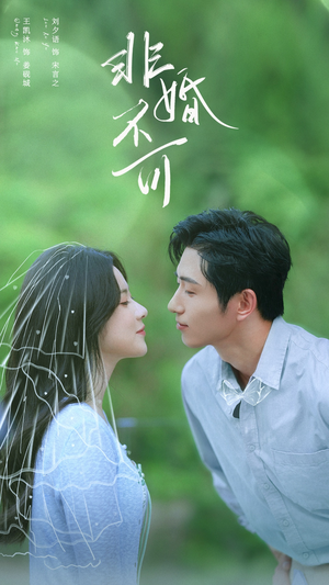 《非婚不可》（65集）免费短剧在线全集看