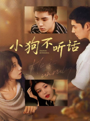 《小狗不听话》（70集）看短剧全集欢乐不停