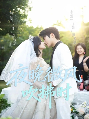 《夜晚微风吹拂时》（61集）在线追短剧乐趣无穷