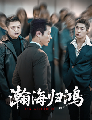 《瀚海归鸿》（74集）短剧全集免费畅快看