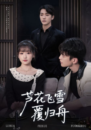 《芦花飞雪覆归舟》(77集)免费短剧全集畅快追