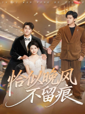 《恰似晚风不留痕》(61集)短剧精彩剧情在线追到爽