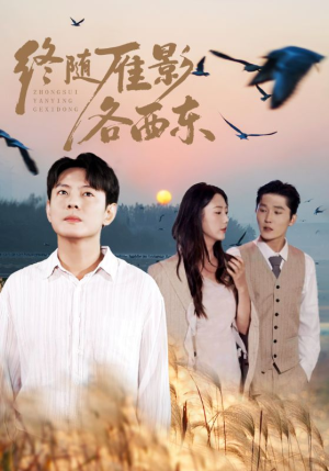 《终随雁影各西东》（86集）免费看短剧完整精彩剧情
