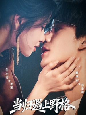 《当归遇上野格》(66集)短剧全集免费畅享观看体验