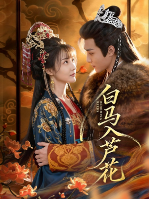 《白马入芦花》（59集）精彩短剧免费全集速看