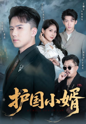 《护国小婿》(60集)短剧免费畅享全集观看