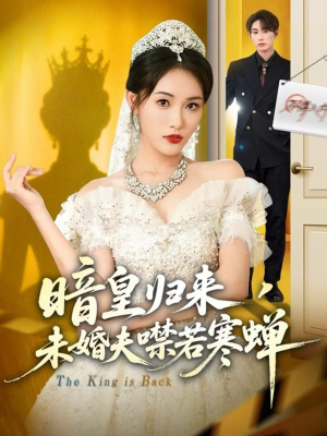 《暗皇归来,未婚夫噤若寒蝉》(65集)看短剧全集一爽到底