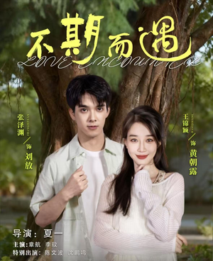 《不期而遇》（62集）短剧精彩剧情在线速追