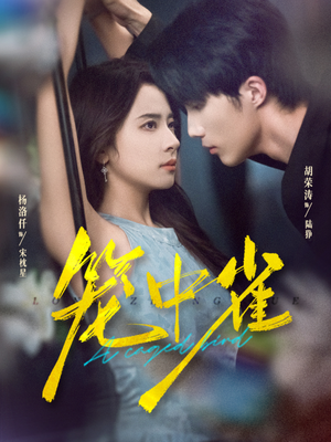 《笼中雀》（65集）看短剧全集过足追剧瘾