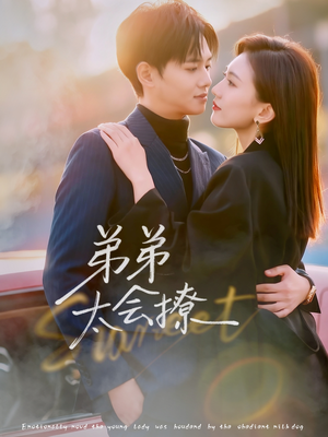 《弟弟太会撩》（81集）在线短剧精彩剧情连看