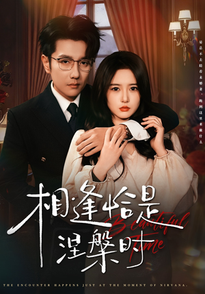 相逢恰是涅槃时(63集) 相逢恰是涅槃时(63集)高清无码免费看