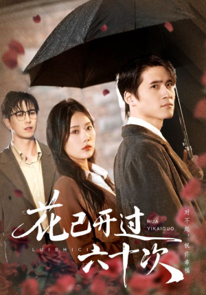 《情敌交手她选择躺赢》（72集）短剧免费看全集超带感