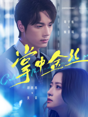 《长姐她竟是隐藏大佬》（60集）精彩短剧全集一键追