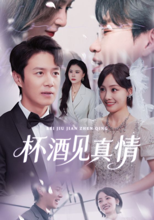 杯酒见真情(68集) 杯酒见真情(68集)热门短剧追不停