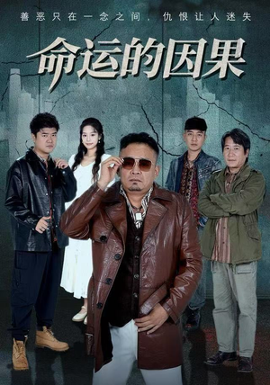 命运的因果(60集) 命运的因果(60集)热门短剧推荐