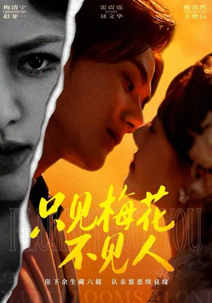 只见梅花不见人（63集）剧情简介