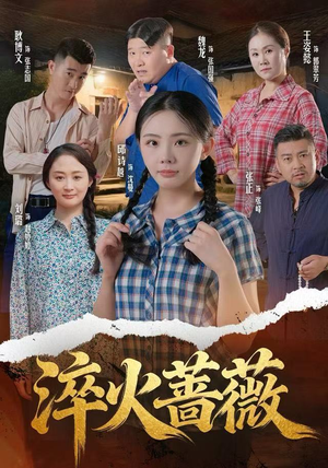 《淬火蔷薇》（50集）短剧在线免费看全集