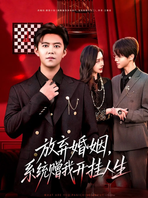 放弃婚姻，系统赠我开挂人生（60集）百度网盘在线看