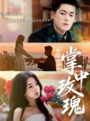 掌中玫瑰（60集）看过的人都说好