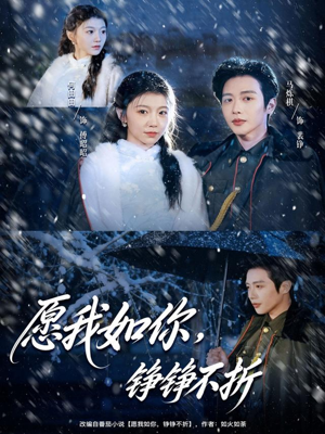 《愿我如你，铮铮不折》（63集）在线看短剧全集不停歇
