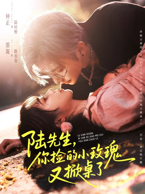 《陆先生，你捡的小玫瑰又掀桌了》（74集）超火短剧全集免费追