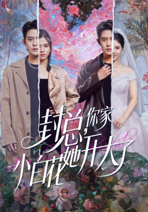 《大佬你的牙粘口红了》（60集）在线看短剧全集免费