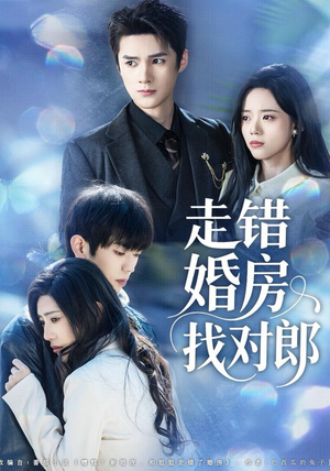 《走错婚房找对郎》（50集）短剧热播一集接着一集