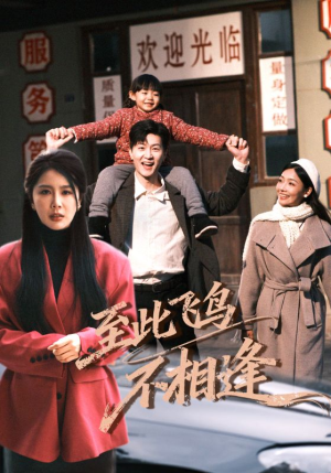 《至此飞鸟不相逢》（70集）精彩短剧一口气追到底