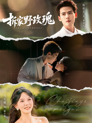 《拆家野玫瑰》（80集）短剧在线看精彩不打折