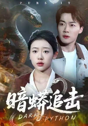 《暗蟒追击》（35集）短剧免费畅享完整版