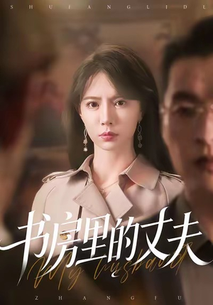 《书房里的丈夫》（100集）在线免费短剧全集追看