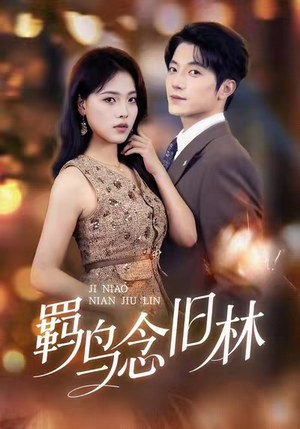 《羁鸟念旧林》（60集）短剧免费畅享全集追