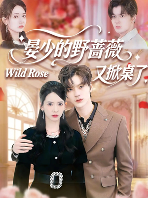 《晏少的野蔷薇又掀桌了》（120集）一口气追完短剧