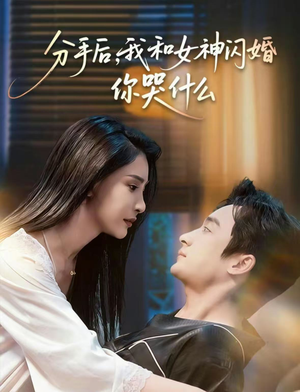 《悲欢离合总无情》（80集）免费短剧全集畅快追