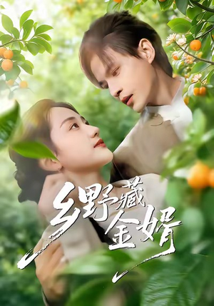 《乡野藏金婿》（50集）短剧全集畅享追不停