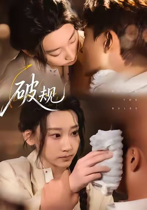 《破规》（80集）在线畅享短剧全集追剧