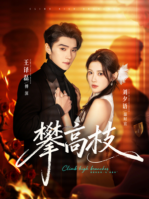 《攀高枝》（70集）畅享短剧全集超燃体验