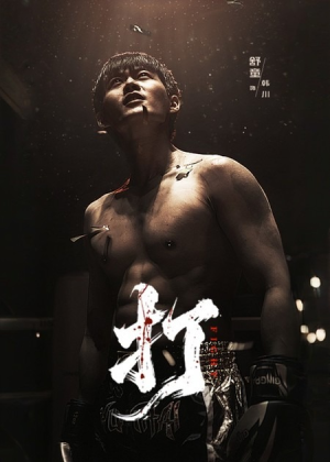 《打》（63集）热门短剧在线畅享观看