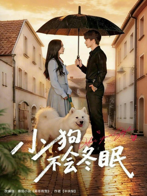 《小狗不会冬眠》（70集）免费短剧畅享全集