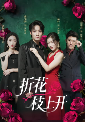 《折花枝上开》（51集）免费看短剧全集不停