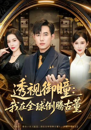 透视御瞳：我在全球倒腾古董（80集）在线观看