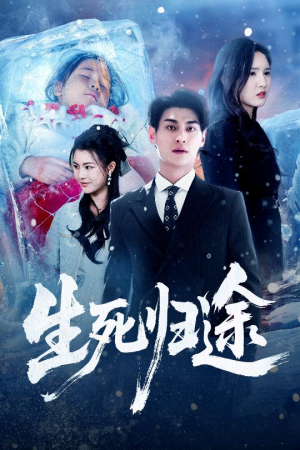 《生死归途》（50集）免费畅看短剧精彩全集