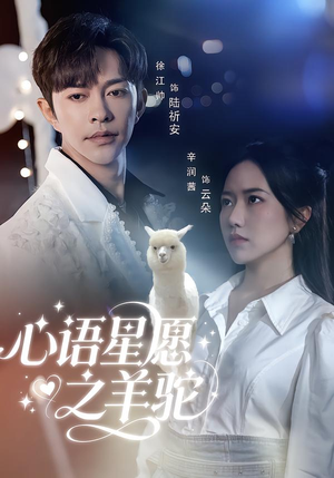 《心语星愿之羊驼》（60集）在线短剧精彩一集不落