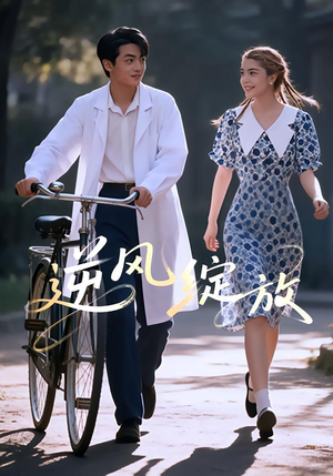 《逆风绽放》（55集）在线短剧全集免费畅享看