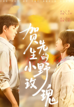 《贺先生的小野玫瑰》（99集）短剧全集在线追个痛快