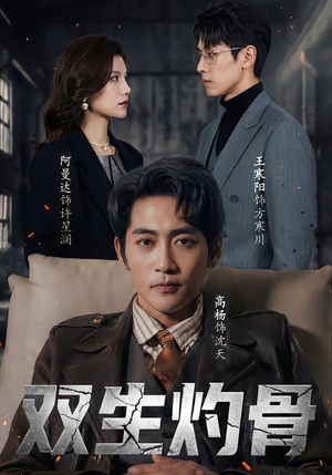 《双生灼骨》（60集）免费畅享短剧完整剧情